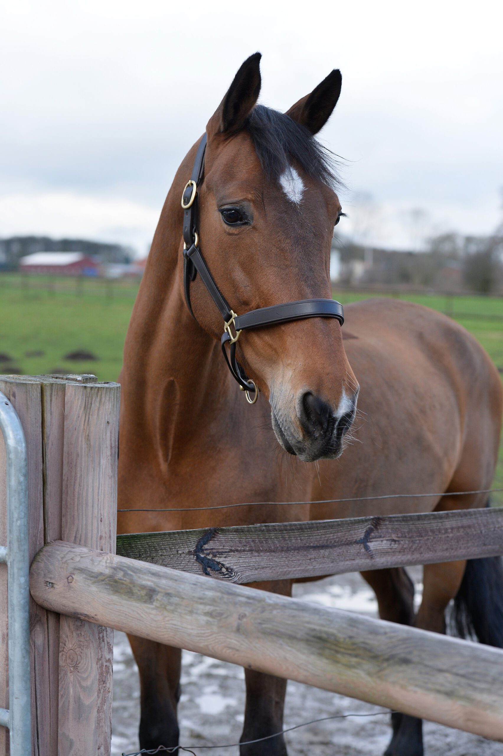 003 For Pleasure 1024x683