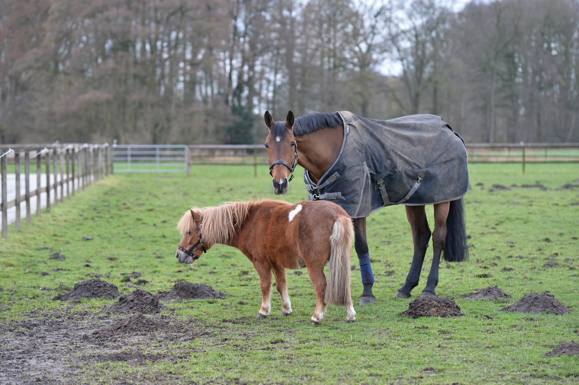 262 Frie For Pleasure Und Max 1024x683