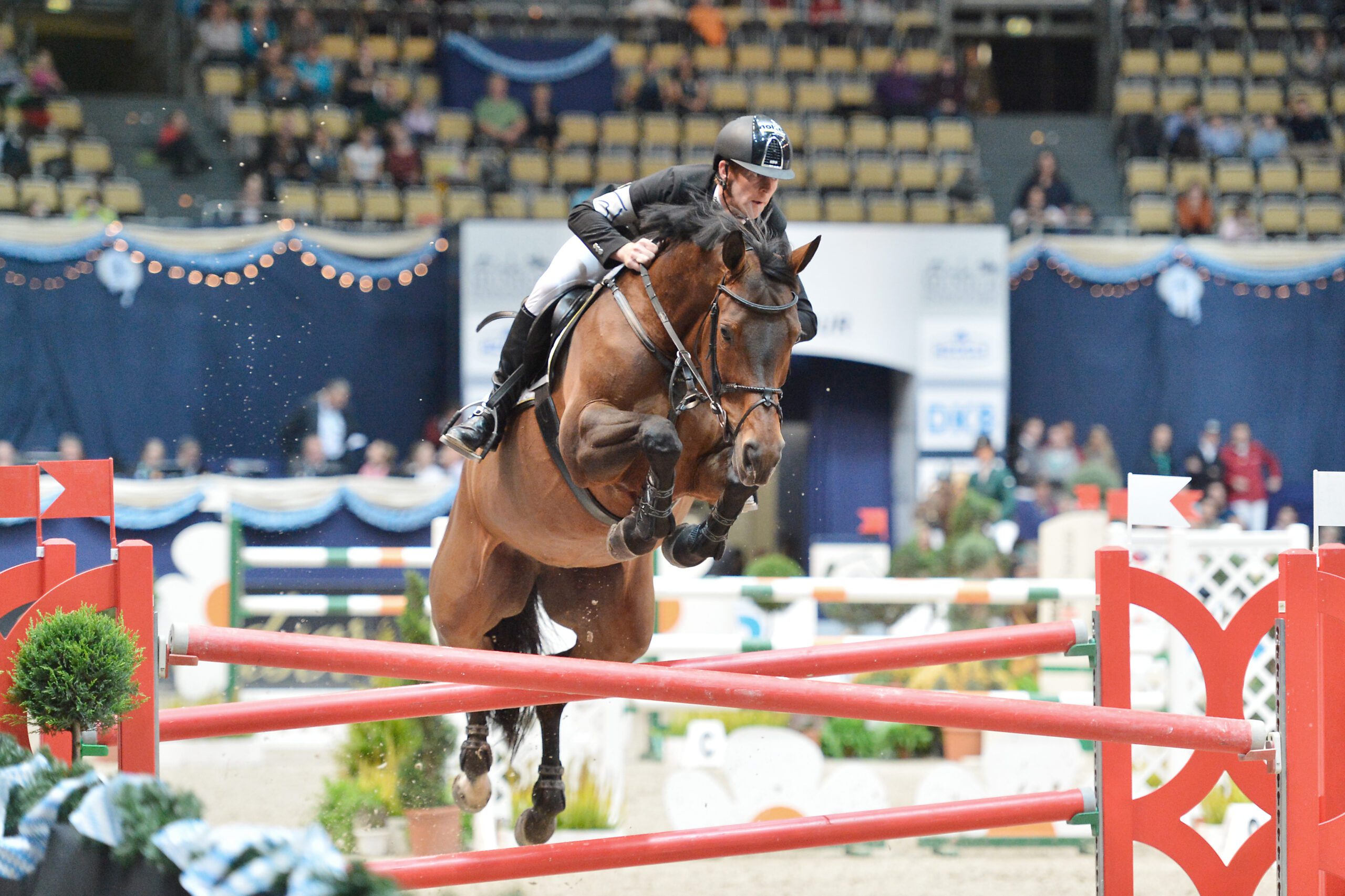 003 For Pleasure 1024x683