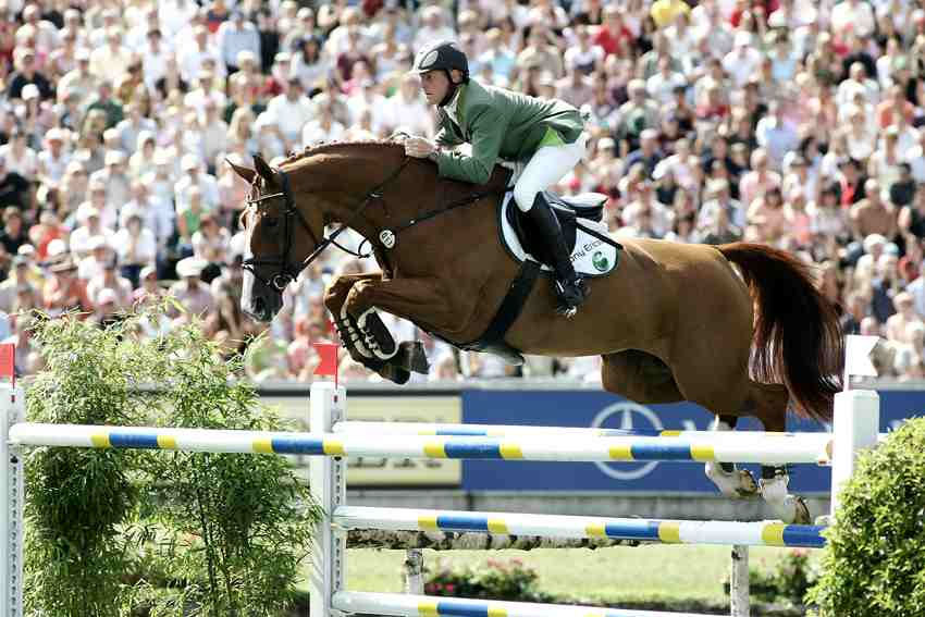 003 For Pleasure 1024x683