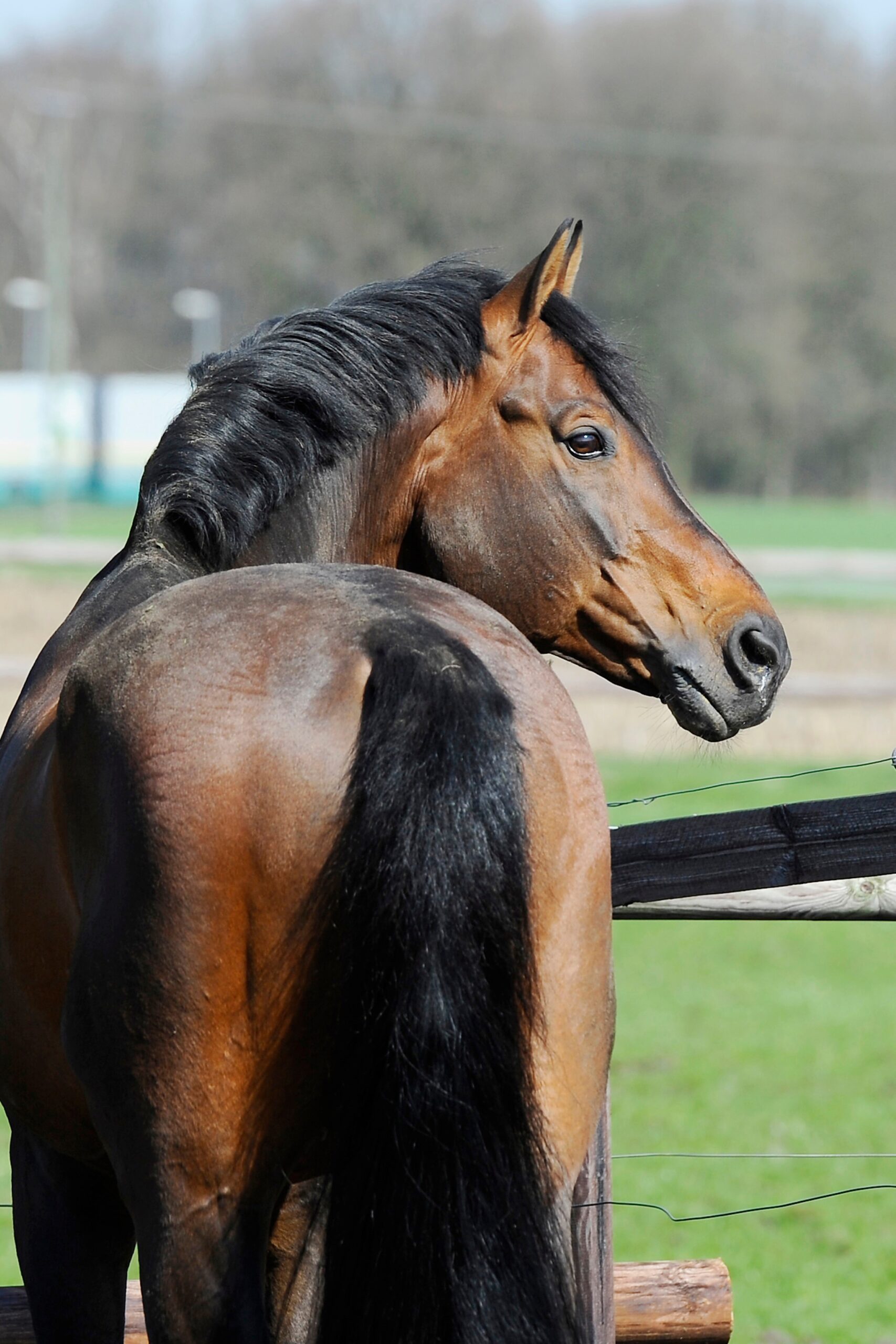 001 Frie For Pleasure Fuer T Shirt E1417888266815 1024x778