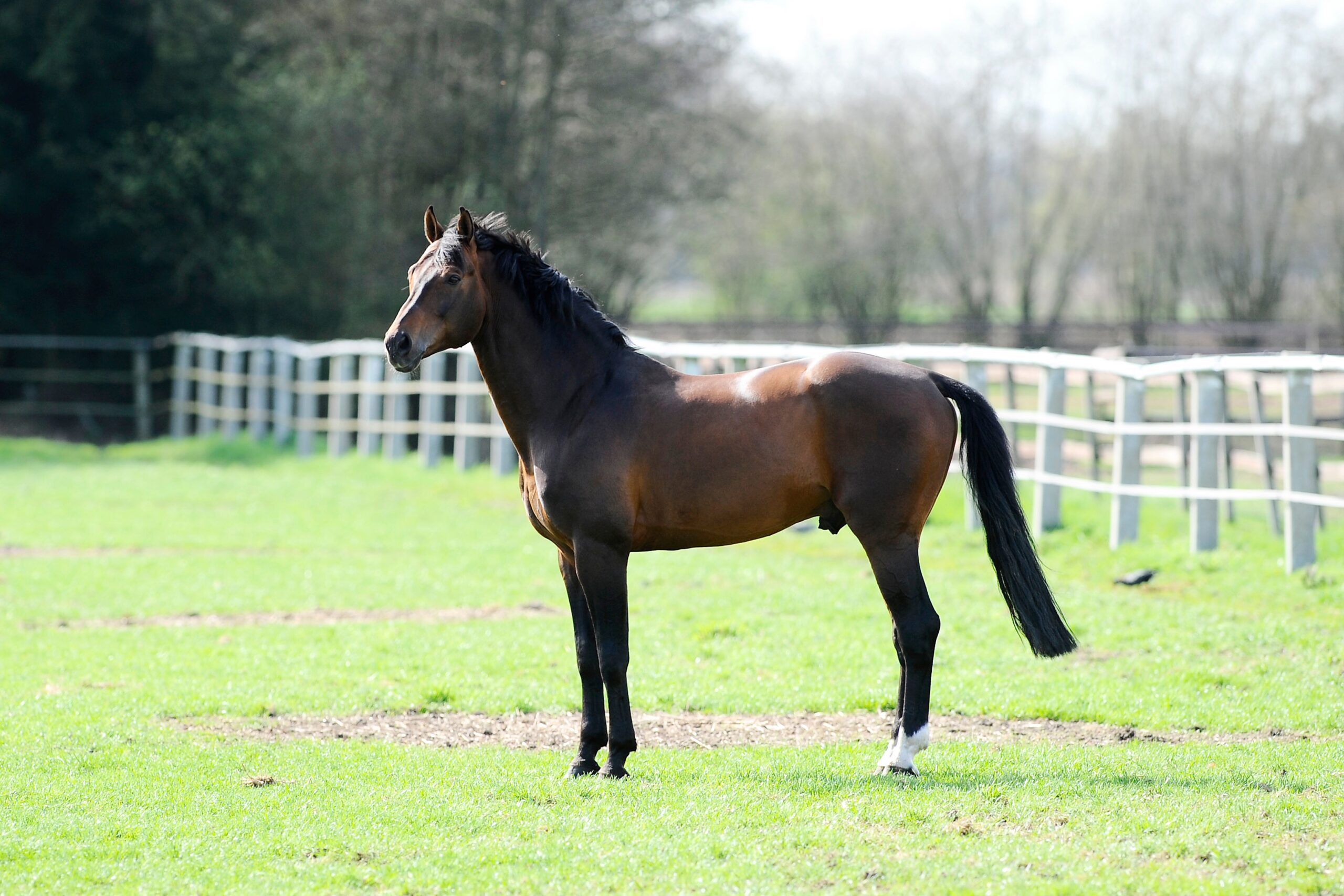 262 Frie For Pleasure Und Max 1024x683